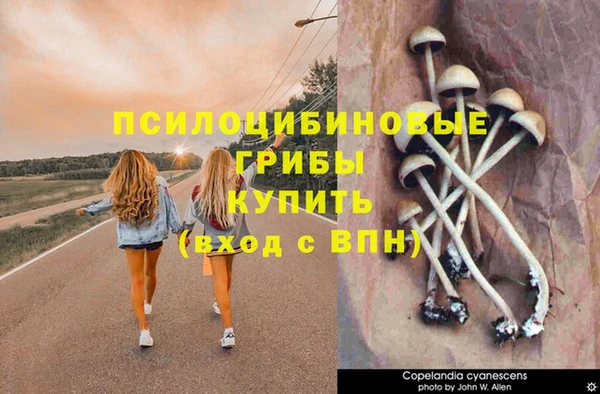 дистиллят марихуана Магас