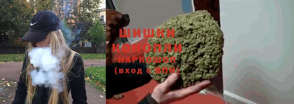 крисы Наволоки