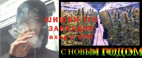 прущие грибы Алексеевка